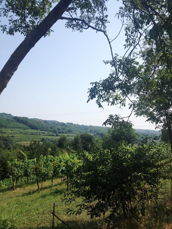 B&B Maccalle Oasi Franciacorta Provezze Exterior foto